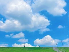 -佛手湖郊野公园