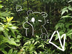 -山王坪喀斯特国家生态公园
