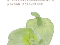 -CGWANG王氏教育(上海校区)