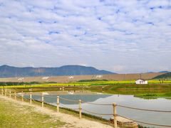 -光明小镇欢乐田园