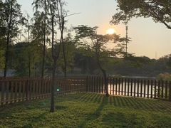 -王借岗森林公园