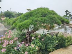 -罗红摄影艺术馆