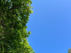 -火炉山森林公园