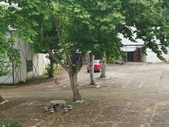 -沪上阿姨·精选茶饮(步步高新天地店)