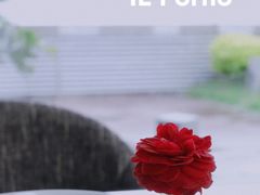 -IL Forno 意坊·意大利餐厅(温州万象城店)