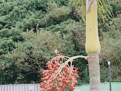 -濑长岛