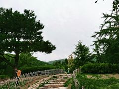 -北京西山国家森林公园