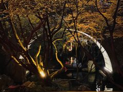 -鱼桥巷·美学川菜