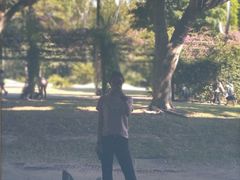 -布里斯班南岸公园