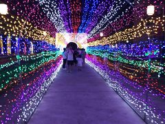 -嘉兴清池酒店温泉