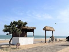 -巧克力渔家.小船海鲜胶东菜(三浴场店)