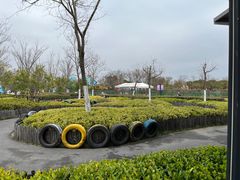 -季高兔窝窝亲子园(上海薰衣草公园店)