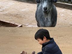 -呀路古热带植物园