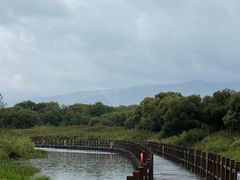 -黑瞎子岛探秘野熊园