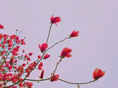 -睦南公园