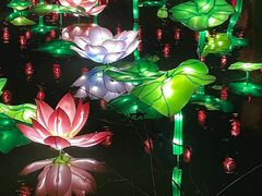 -横店影视城梦幻谷园区