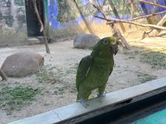 -杭州野生动物世界