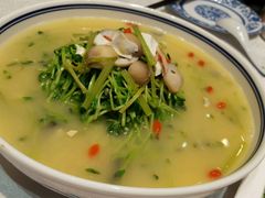 上汤豆苗-京味民福烤鸭店(建设四马路店)