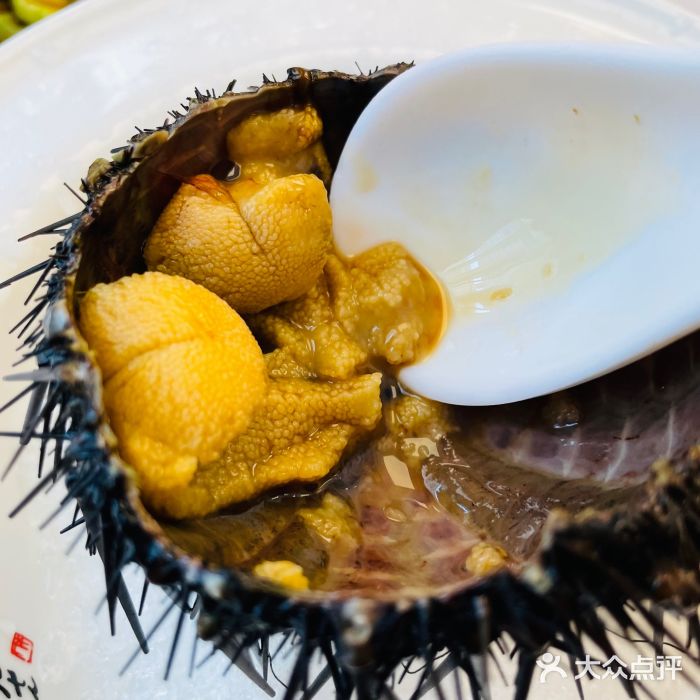 品海楼·大连海胆锅贴馆(东港店)生吃活海胆图片