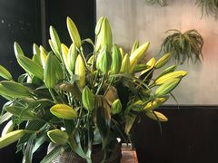 -Apollo·西班牙小酒馆(安福路店)