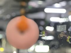 -黄毛鸭脖(汉阳总店)