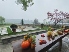 -龙坞茶村