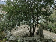 -千岛湖东南湖区