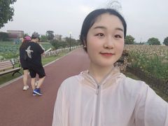 -荷兰花海