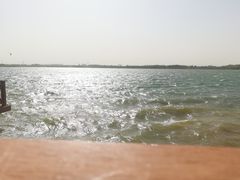 -丁香湖公园