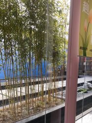 -爱儿美儿童摄影(朝阳公园店)