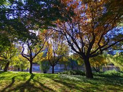 -元大都城垣遗址公园