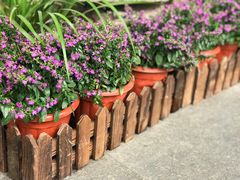 -艾蜜西餐厅(梅园店)