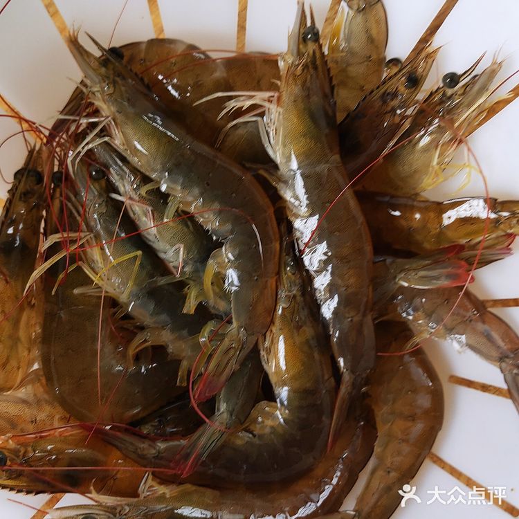 【随心㊙️食谱☞手工打造🦐虾滑】 ​