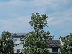 -临安城遗址(太庙遗址)
