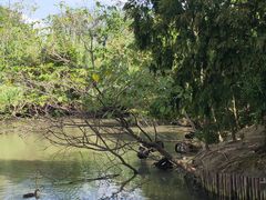 -溱湖国家湿地公园