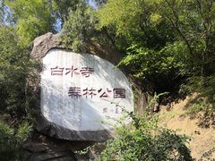 -白水寺森林公园