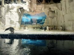 -华夏文旅海洋公园