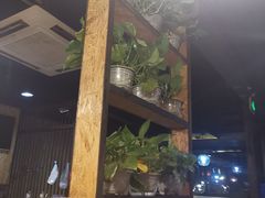 -柿子树炭烤羊腿(金台路店)