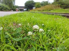 -永定河休闲森林公园