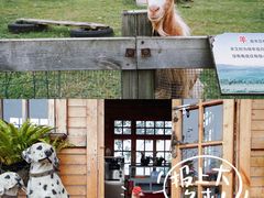 -中国天府农业博览园