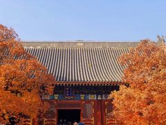 -香山公园