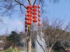 -无锡梅园公园
