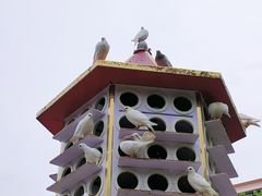 -广州莲花山旅游区