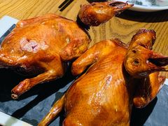 红烧鸽-大鸽饭(岗顶店)