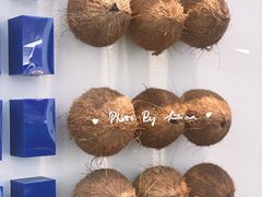 -蔻蔻椰·鲜萃椰子水(欢乐港湾店)