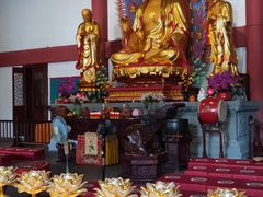 -上海东林寺(金山区)