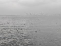 -悦海公园