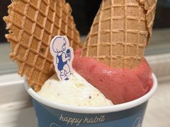 -海比甜店·意式手工冰激淋happy habit gelato