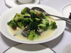 -新吉士·上海菜(浦东LCM置汇旭辉店)