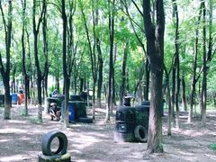 -亲兄弟真人CS团建拓展基地